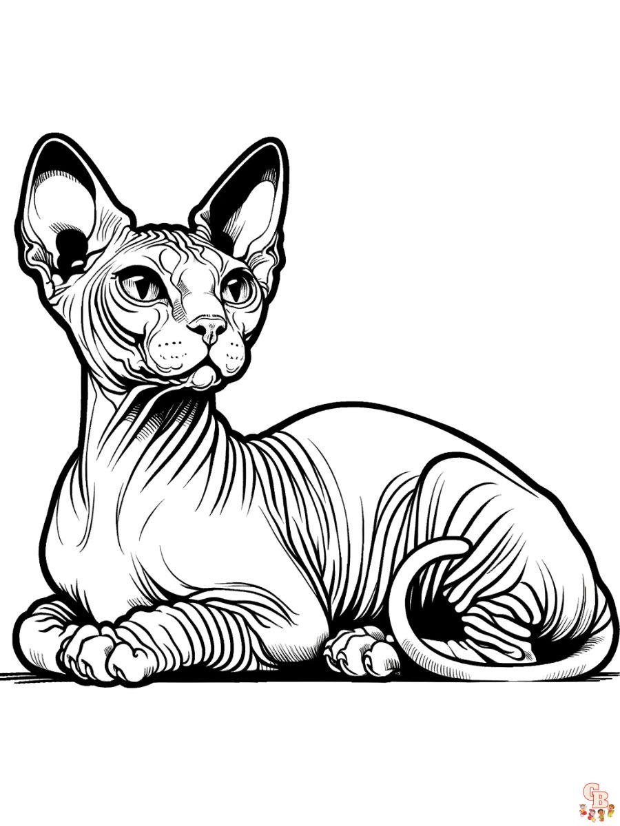 Sphynx cat coloring page