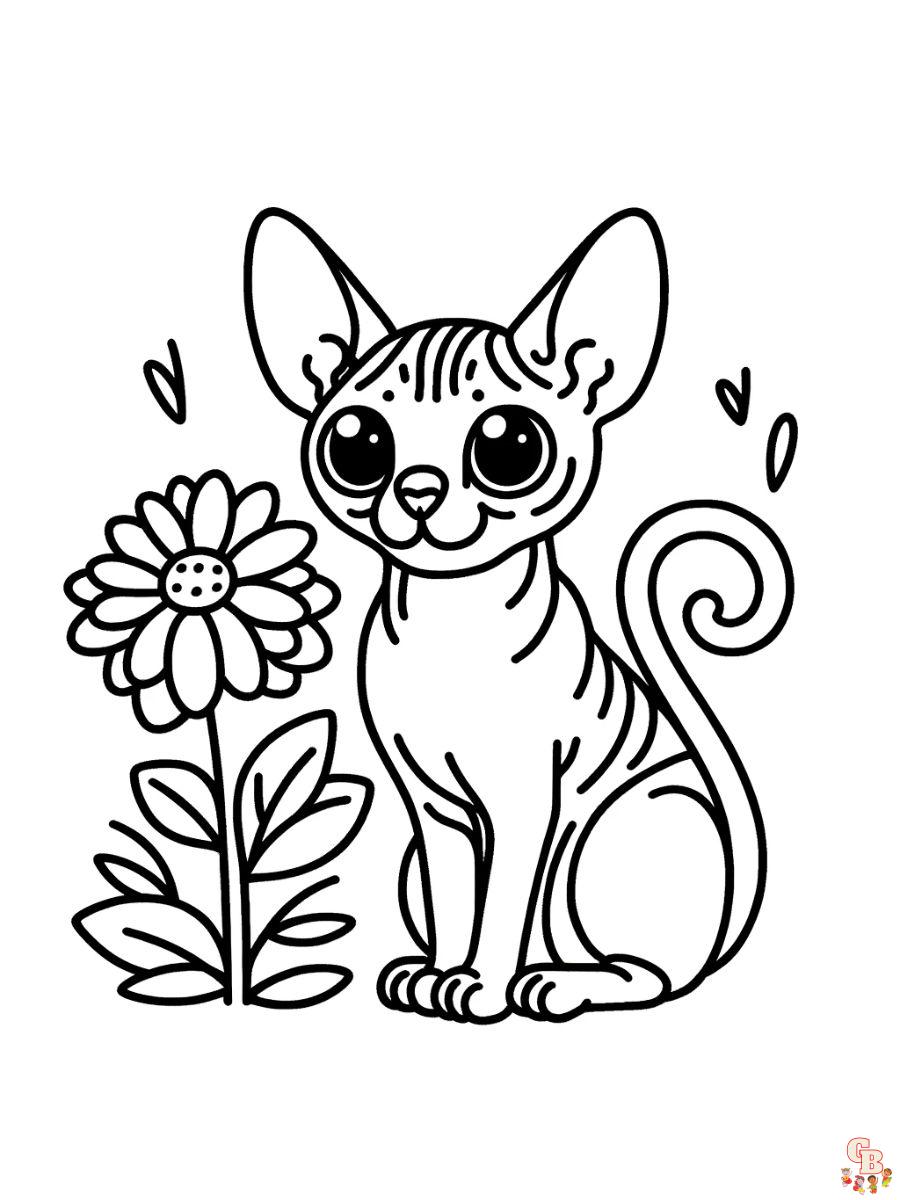 Sphynx cat coloring pages