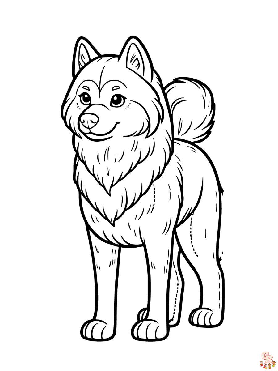 Standing Siberian Husky Coloring pages Printable