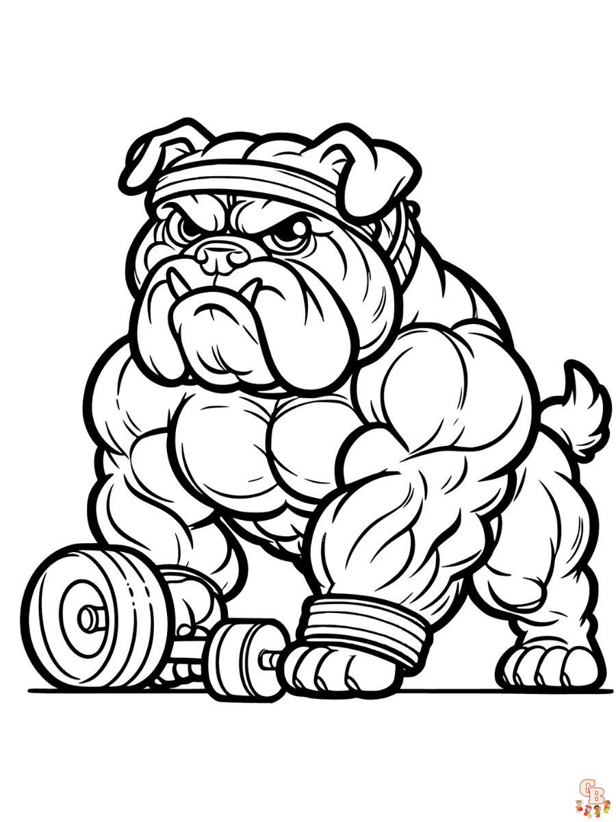 Strong Bulldog coloring pages free