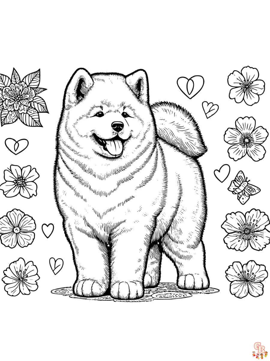 akita coloring pages free