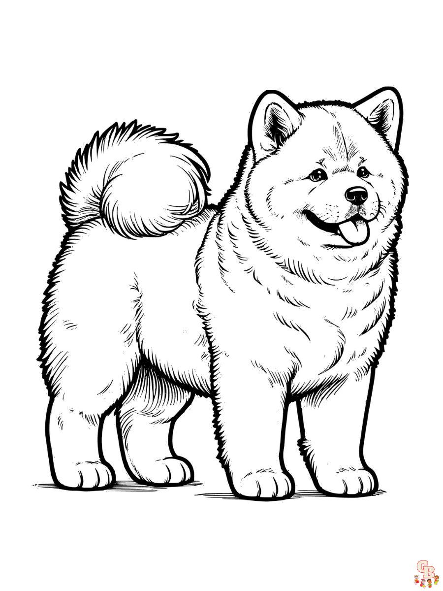 akita coloring pages