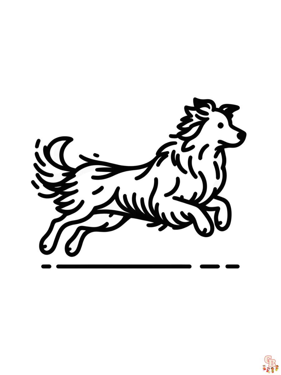 border collie coloring page free