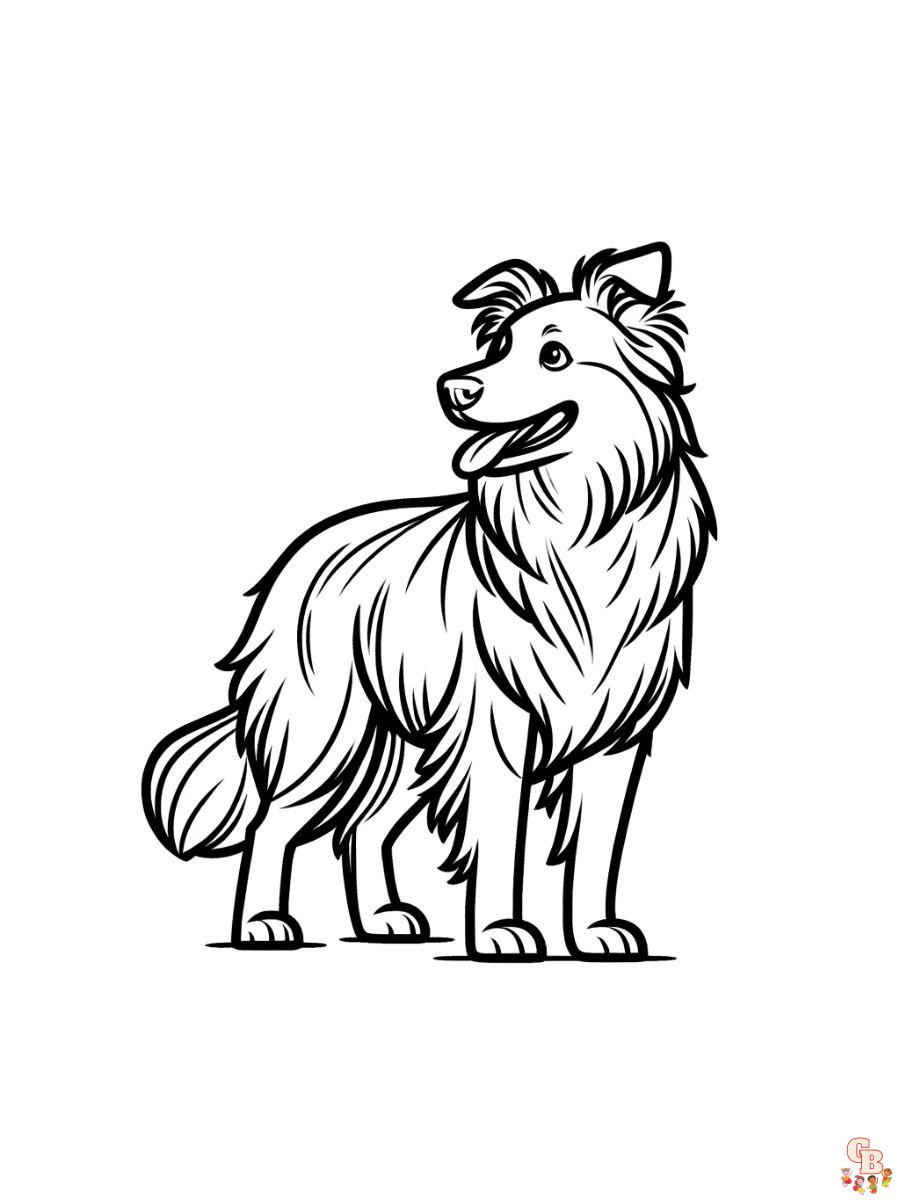 border collie coloring pages free