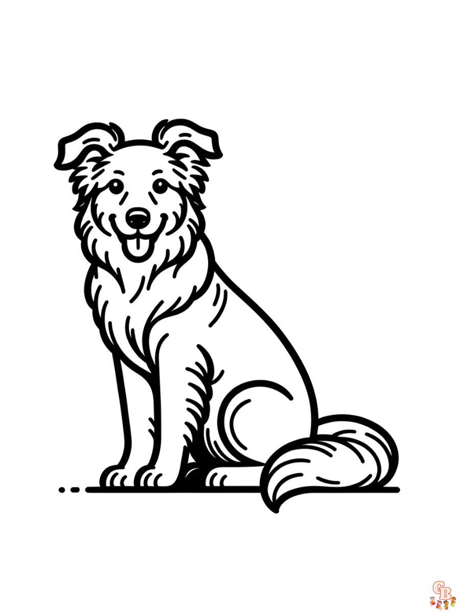 border collie coloring pages printable