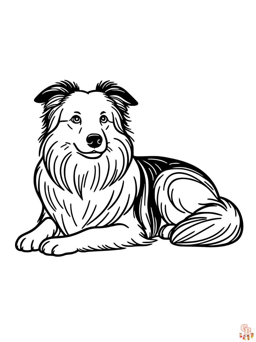 border collie coloring pages to print