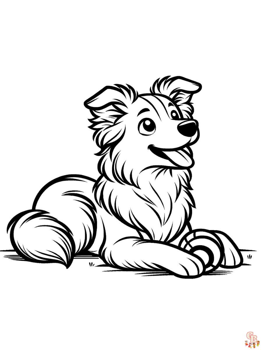 border collie coloring pages