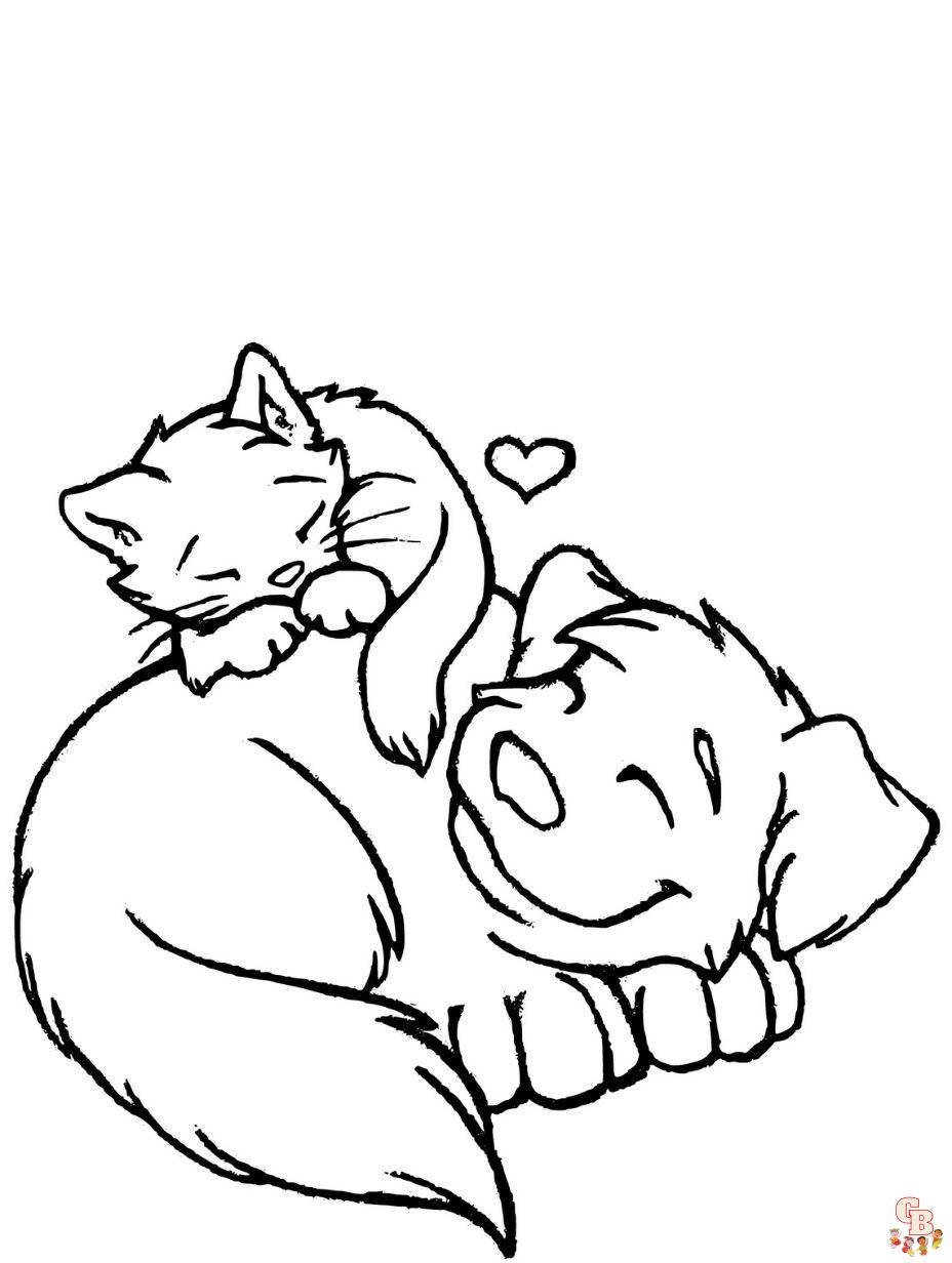 cat and dog coloring pages