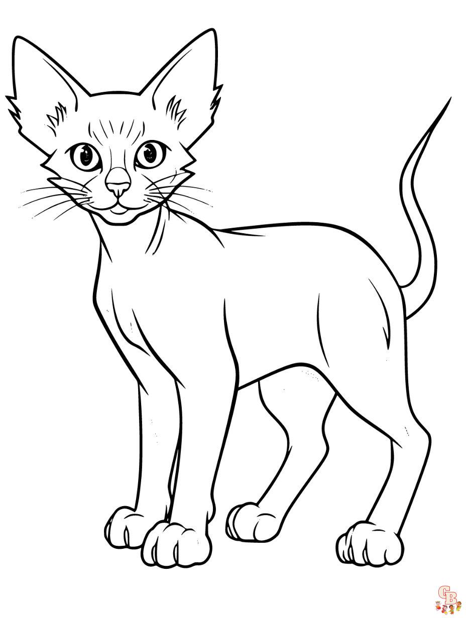 cat coloring pages free printable