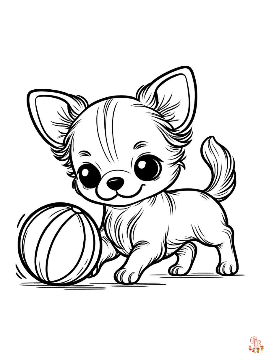 chihuahua coloring pages