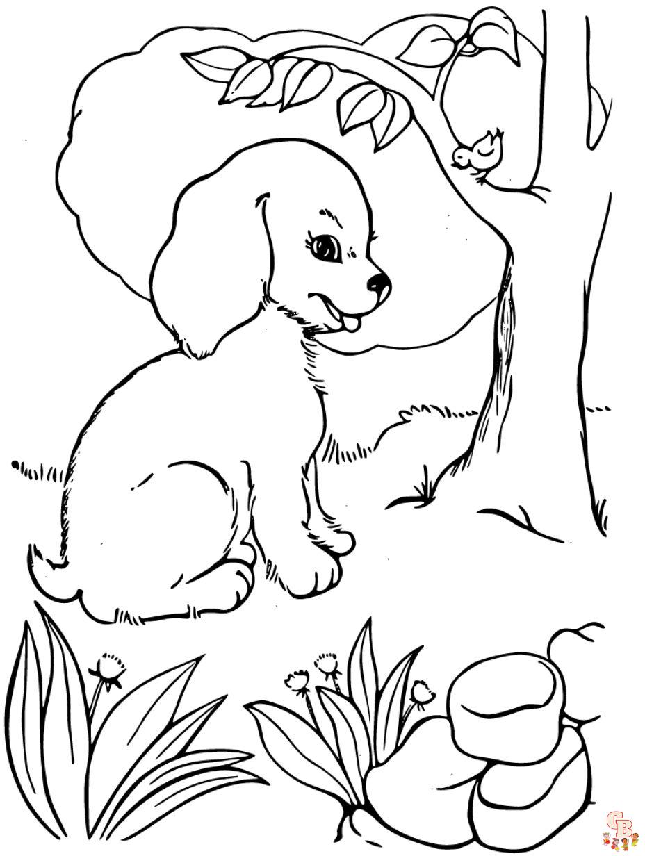 coloring page dog