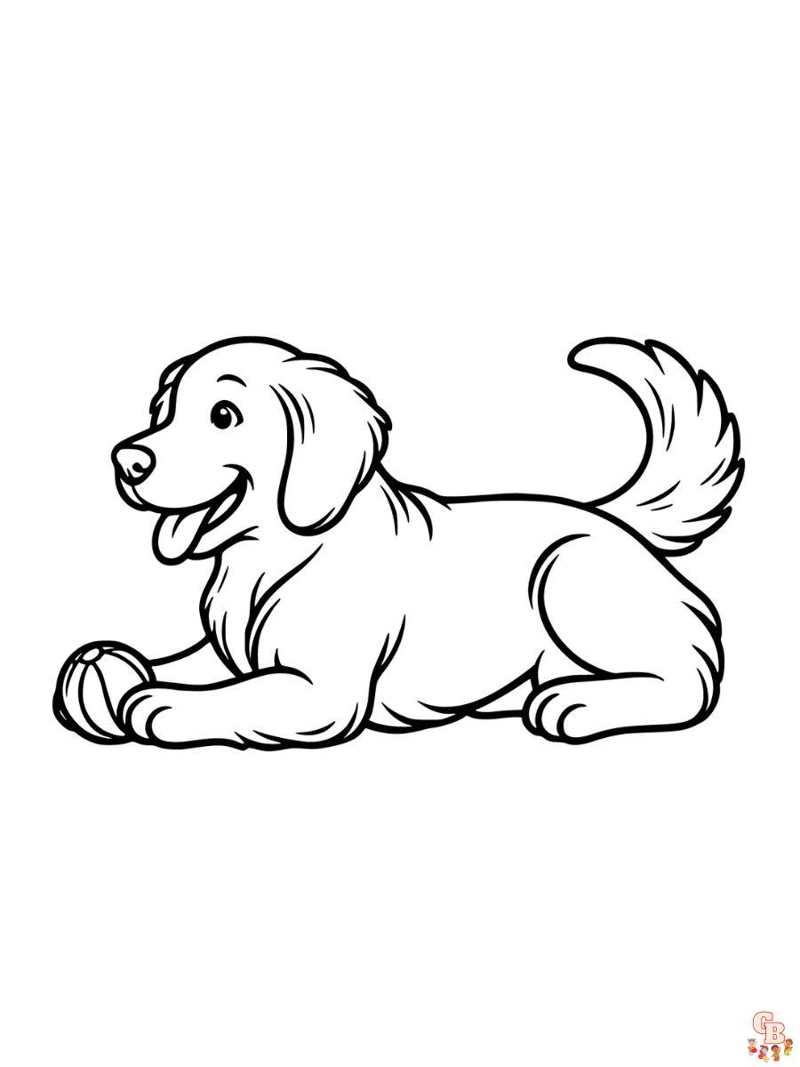 coloring page golden retriever