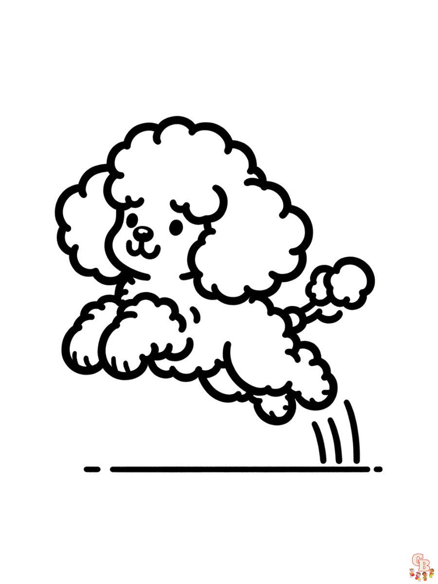 coloring page poodle