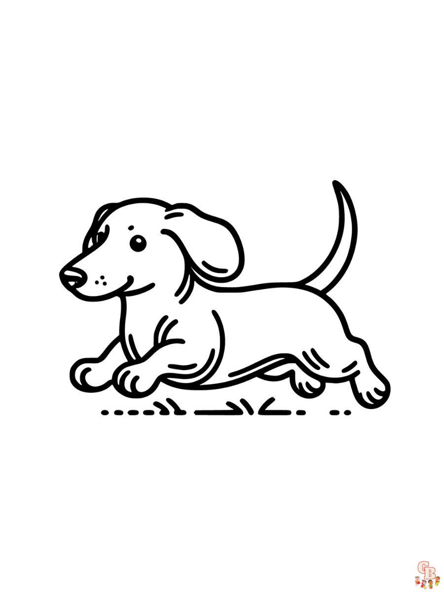 coloring pages dachshund