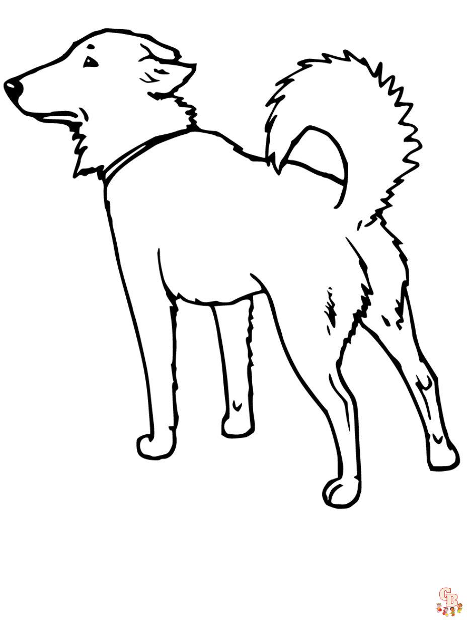 coloring pages dogs