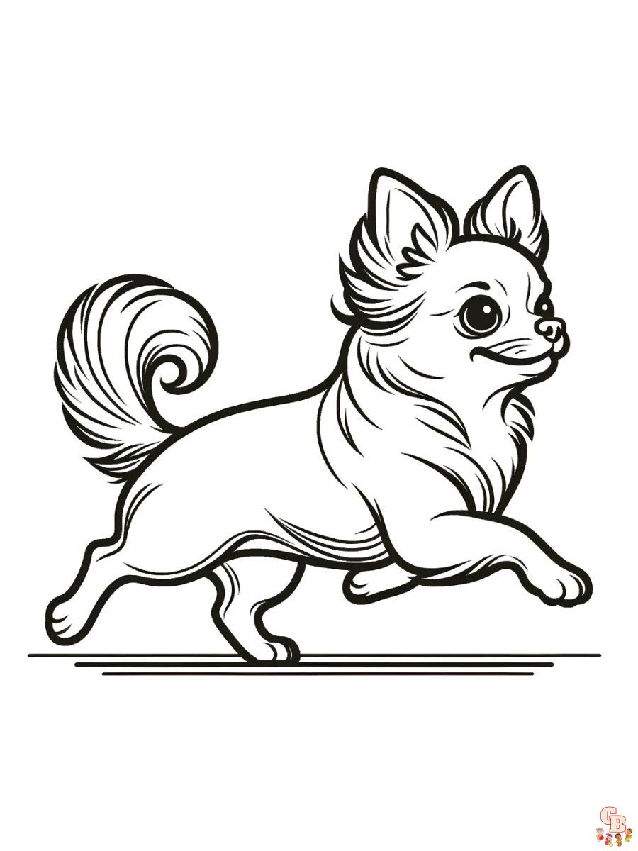 coloring pages of chihuahuas