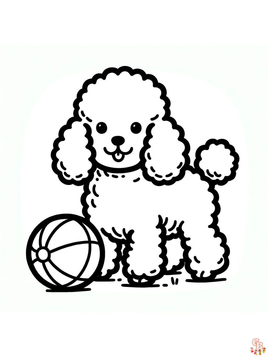 coloring pages poodle