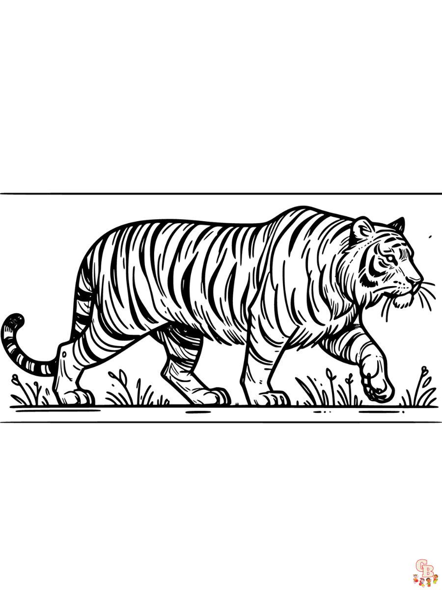 coloring pages tiger