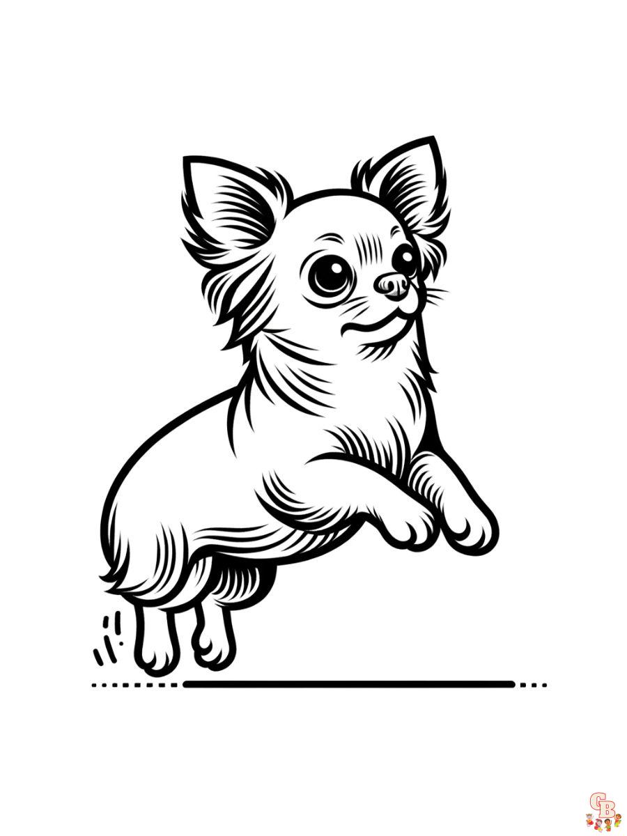 cute chihuahua coloring page