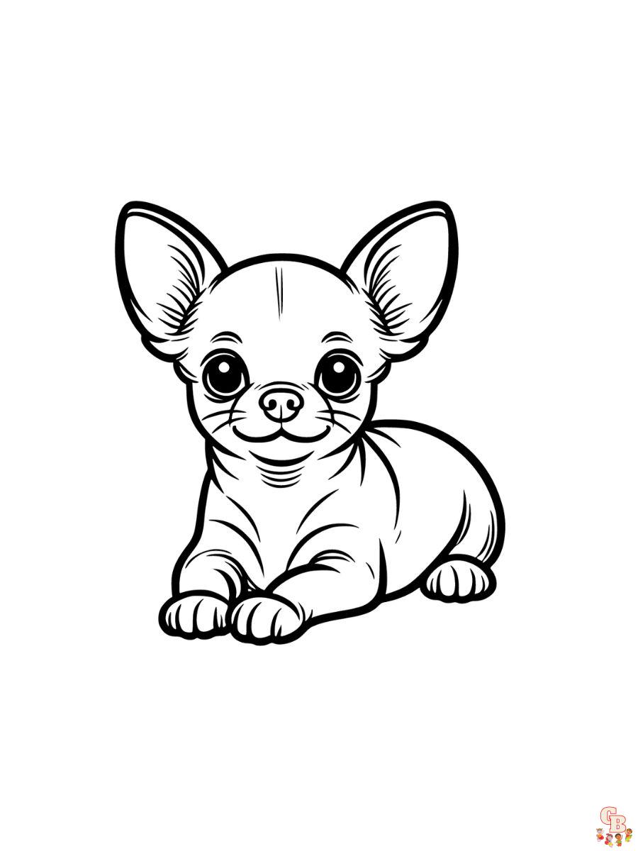 cute chihuahua coloring pages