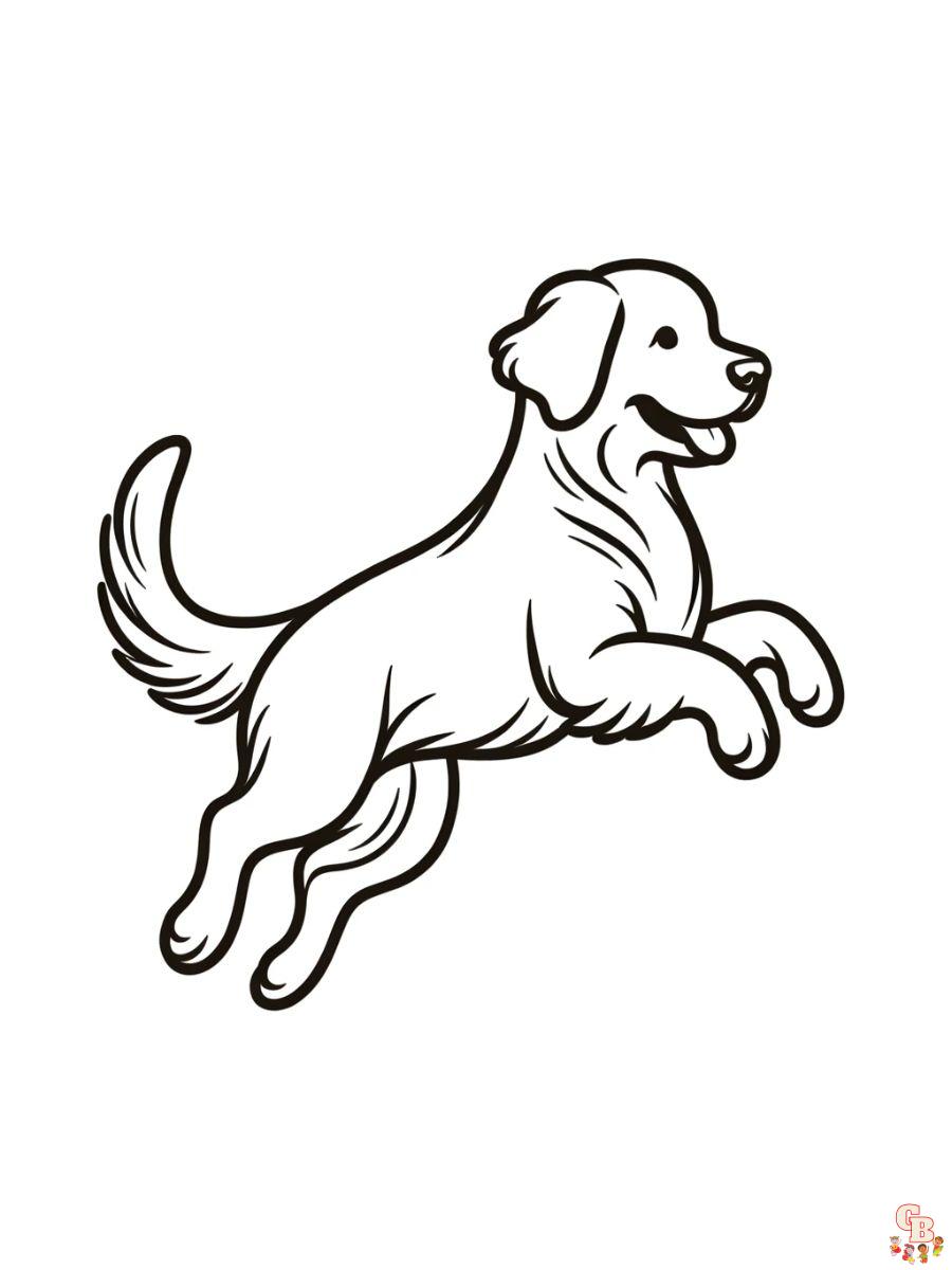 cute golden retriever coloring page