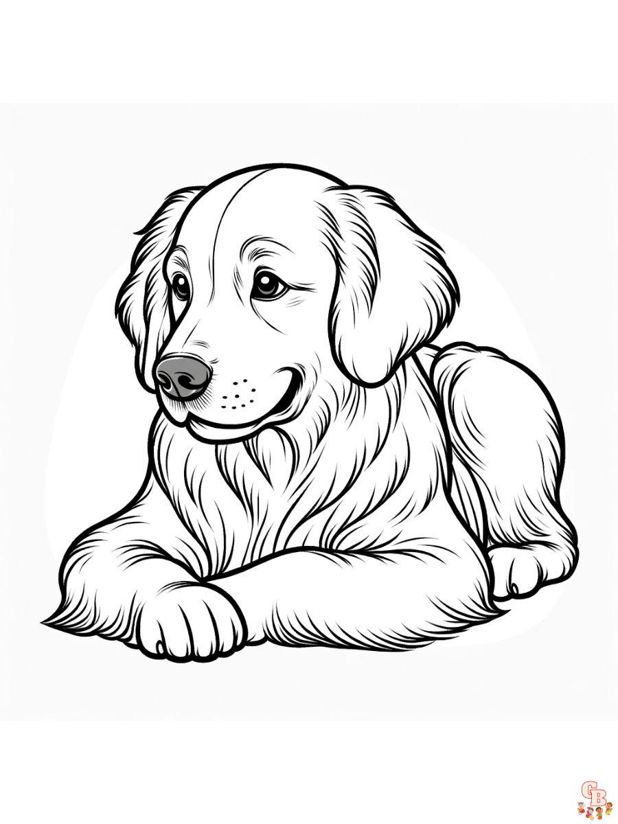 cute golden retriever coloring pages