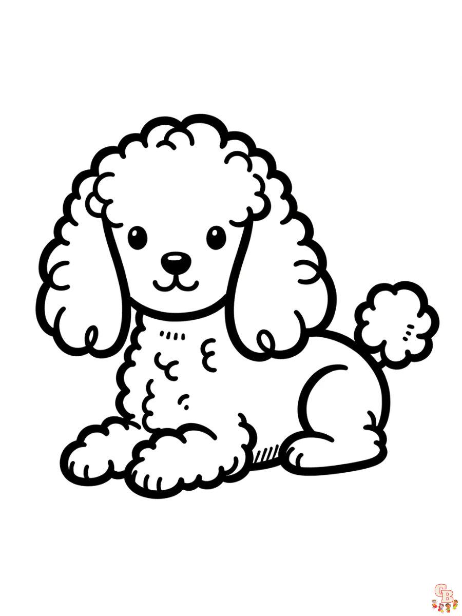 cute poodle coloring page