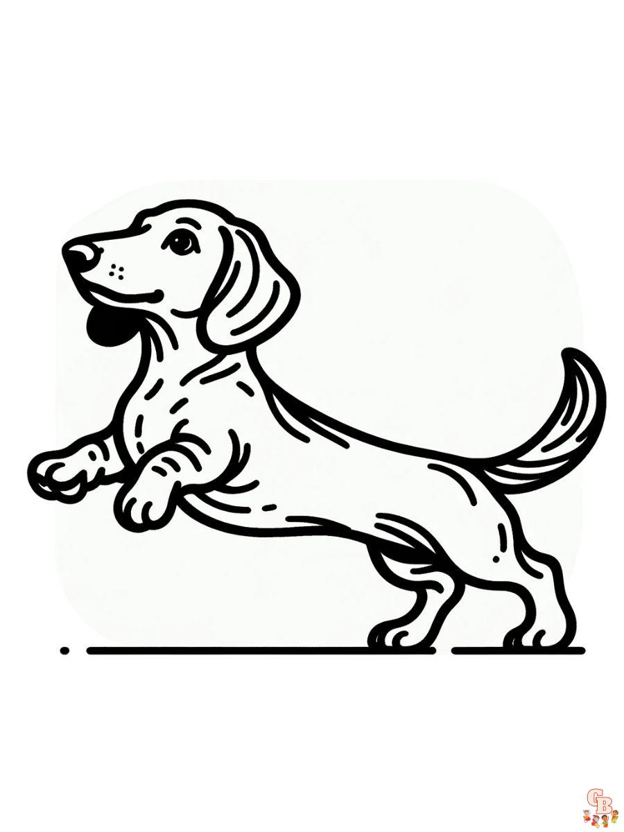 dachshund coloring pages for adults