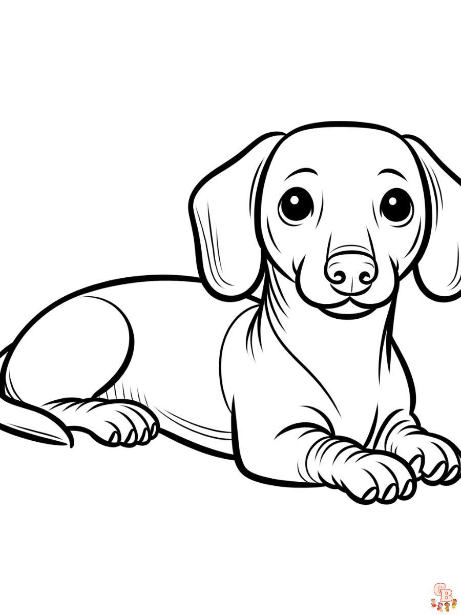 dachshund coloring pages printable