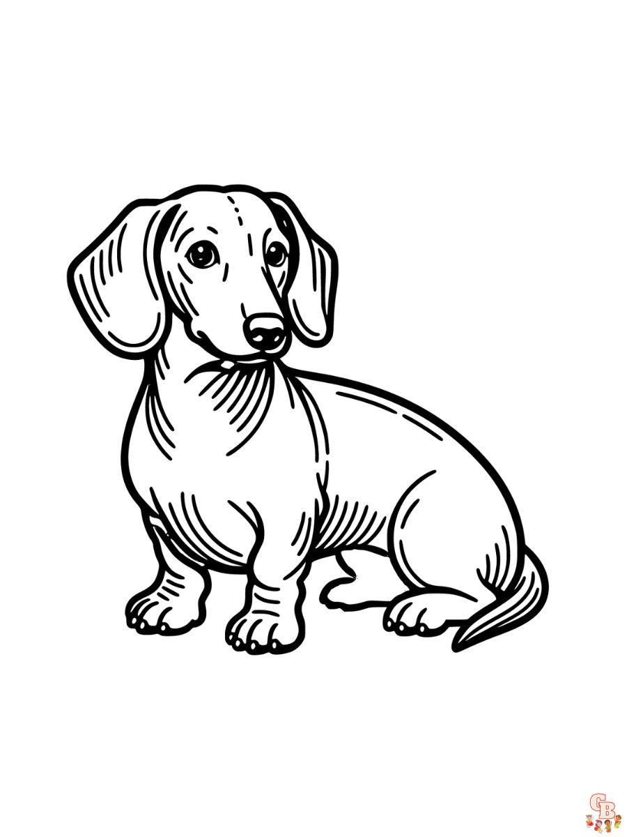 dachshund coloring pages