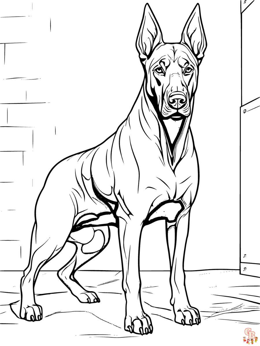 doberman coloring page free