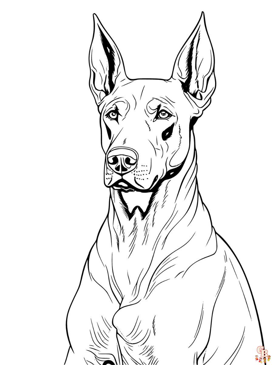 doberman coloring pages free