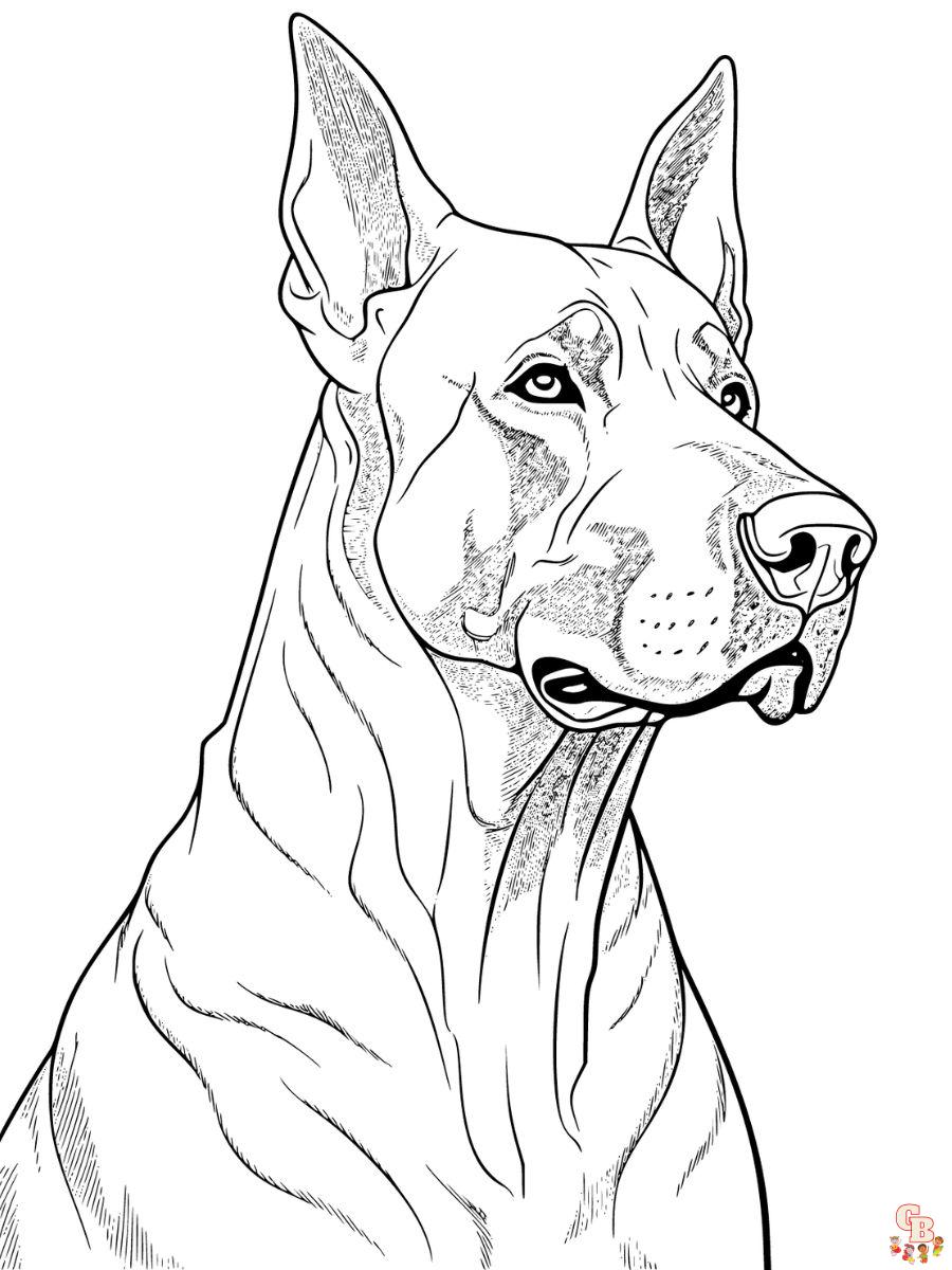 doberman coloring pages printable