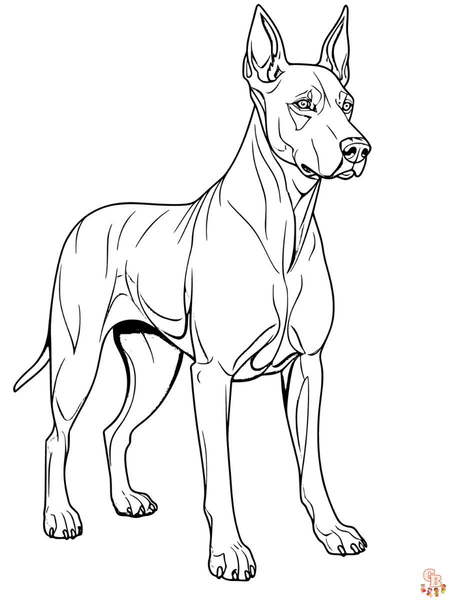 doberman coloring pages