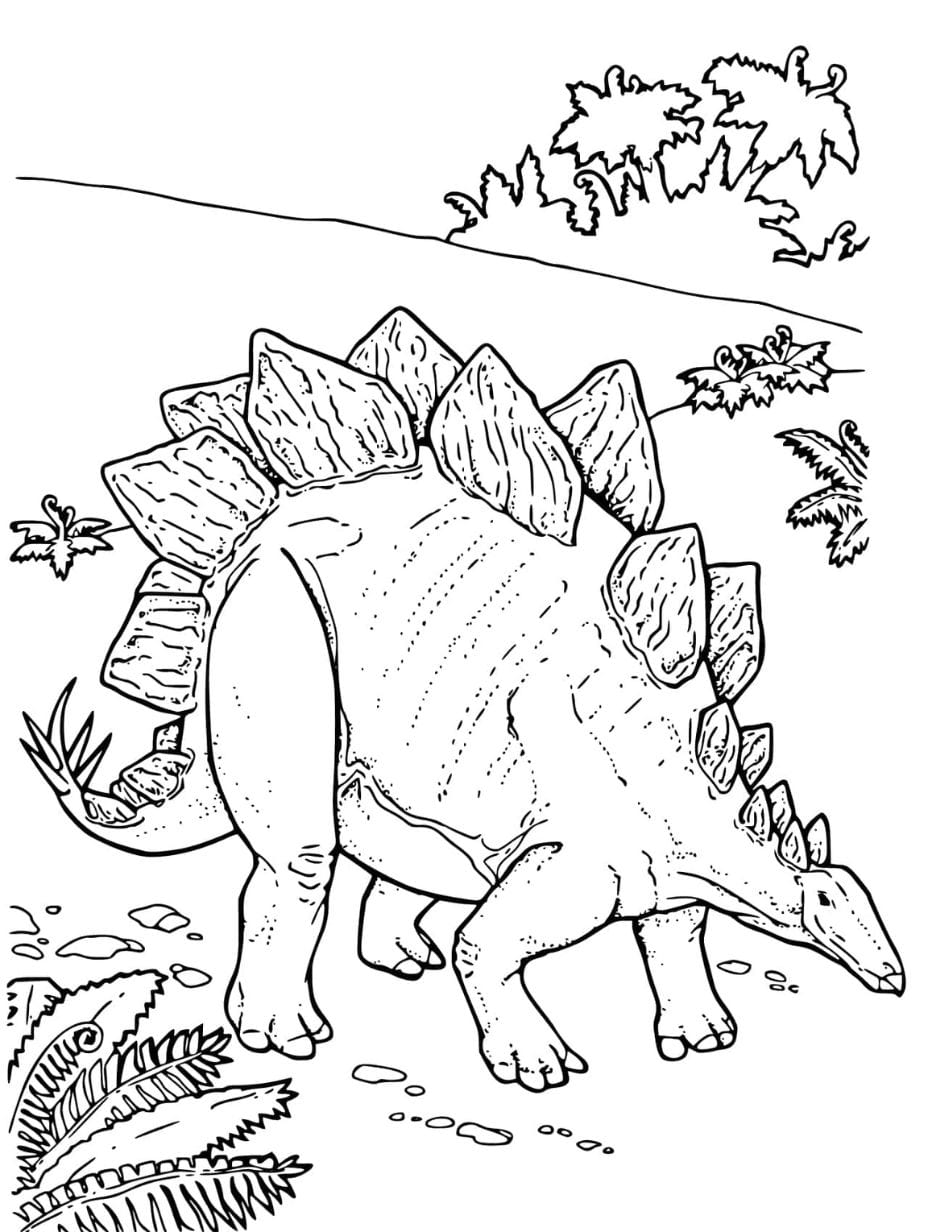 free stegosaurus coloring page