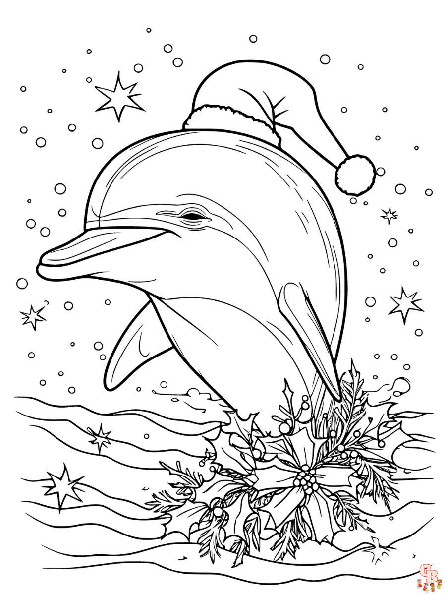 free winter the dolphin coloring pages