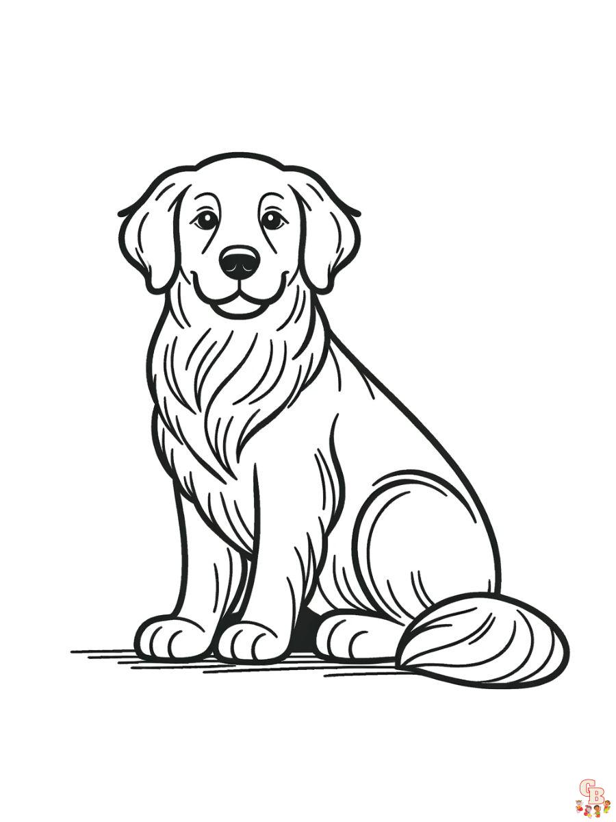 golden retriever dog coloring pages