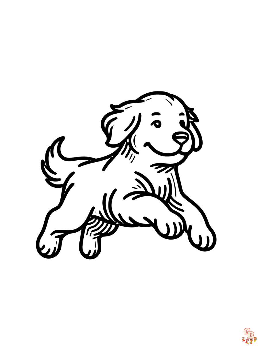 golden retriever puppies coloring pages