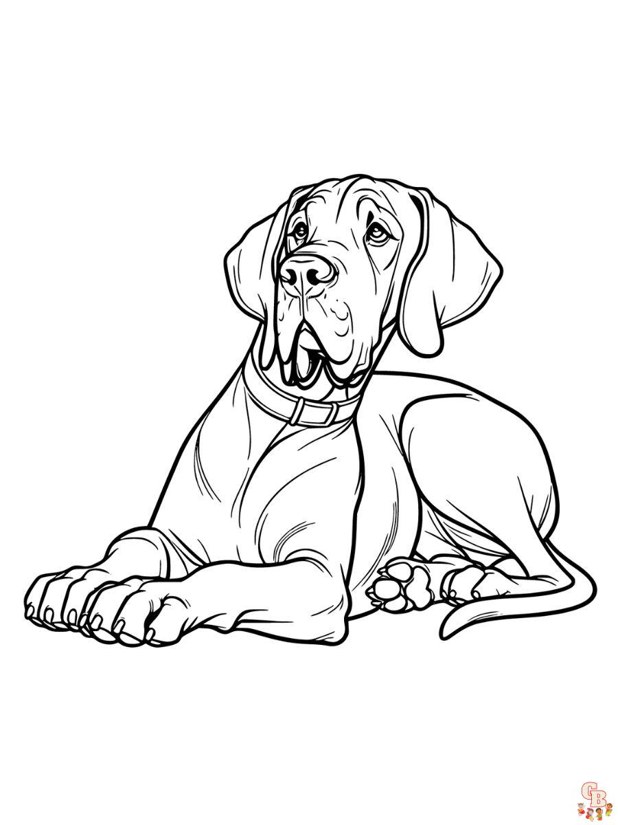 great dane coloring page free