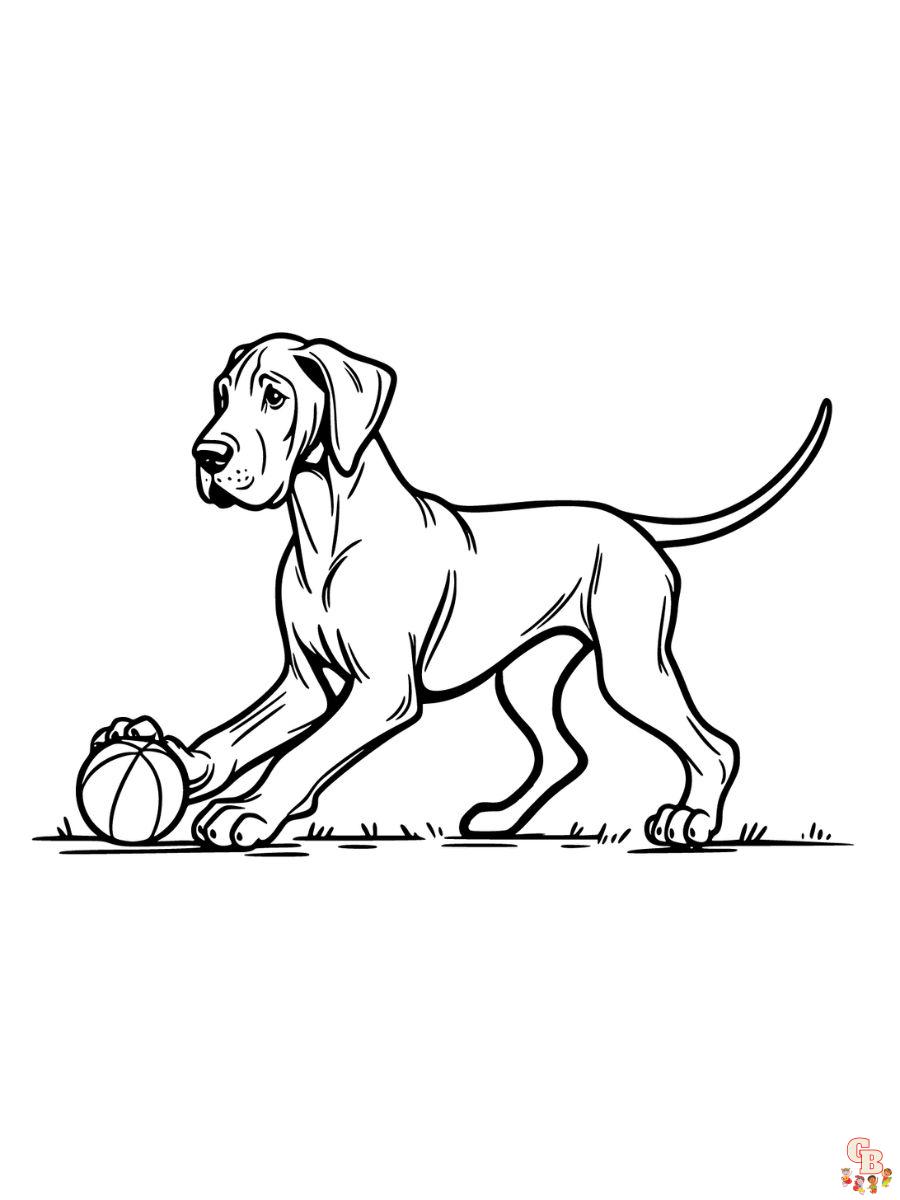 great dane coloring page printable