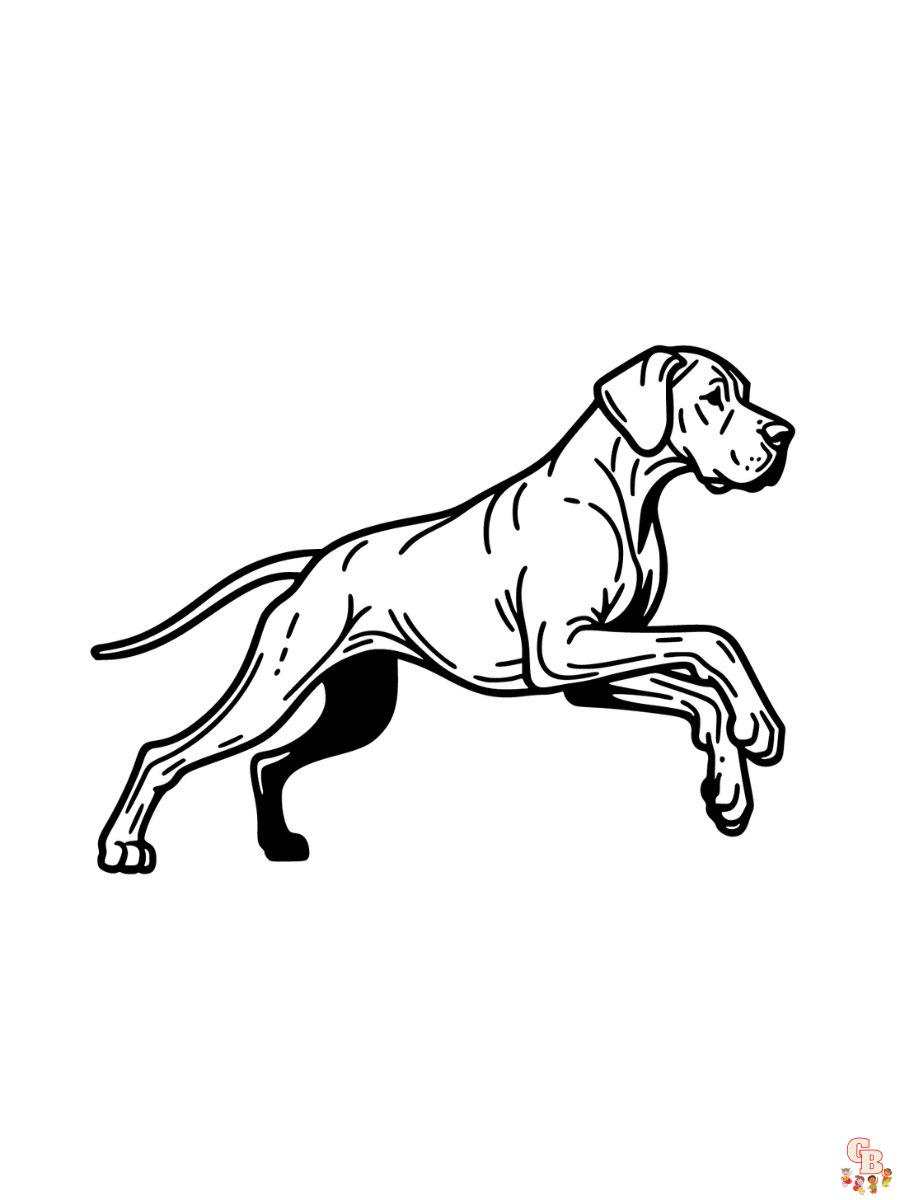 great dane coloring pages printable