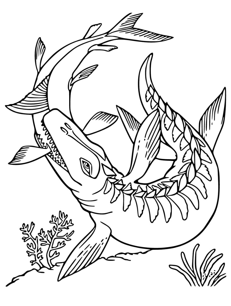 mosasaurus coloring page