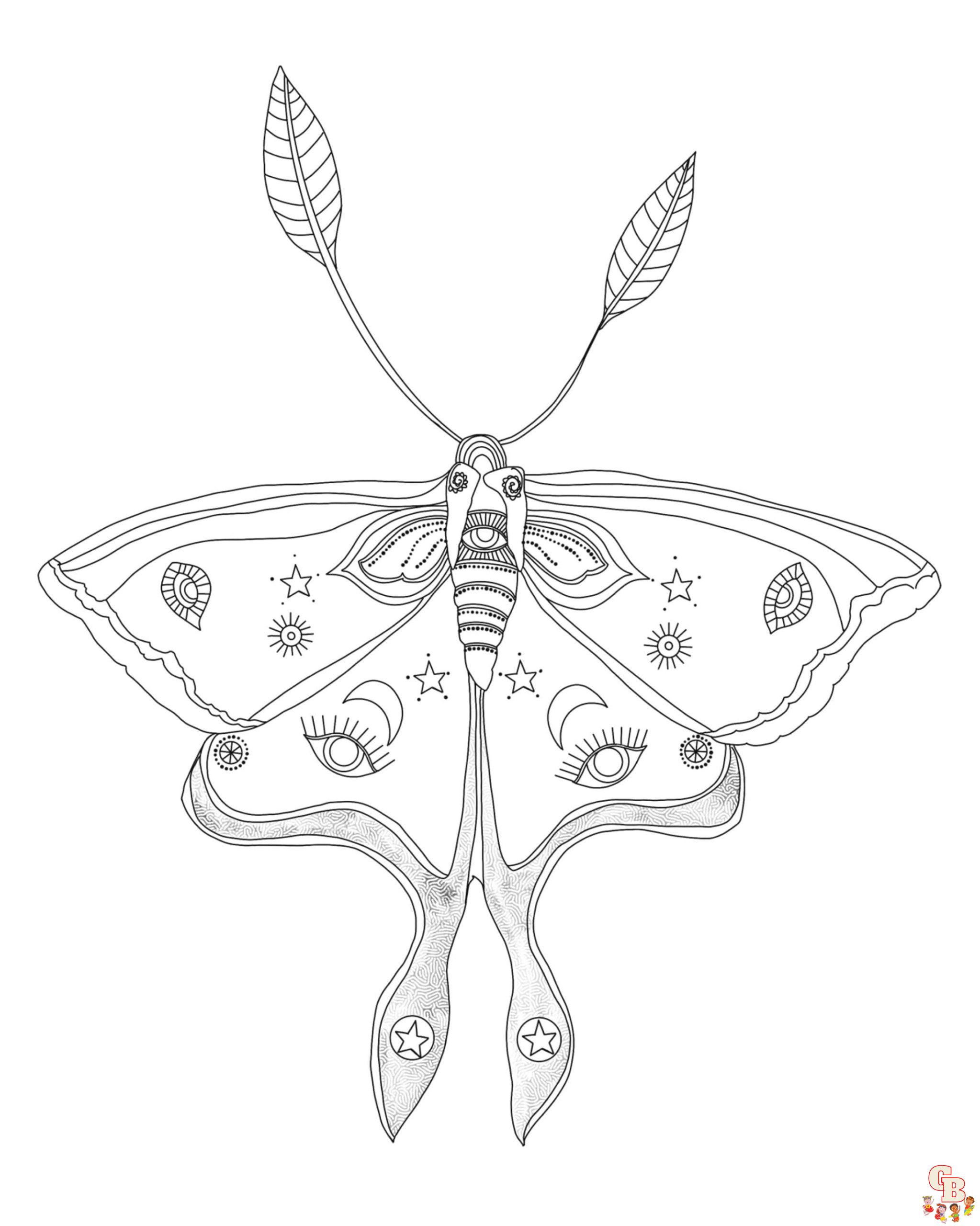 moth coloring page