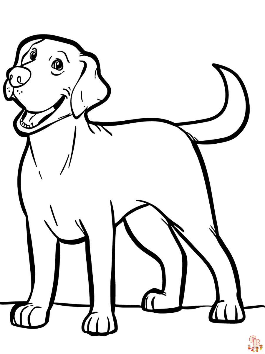 printable labrador coloring page