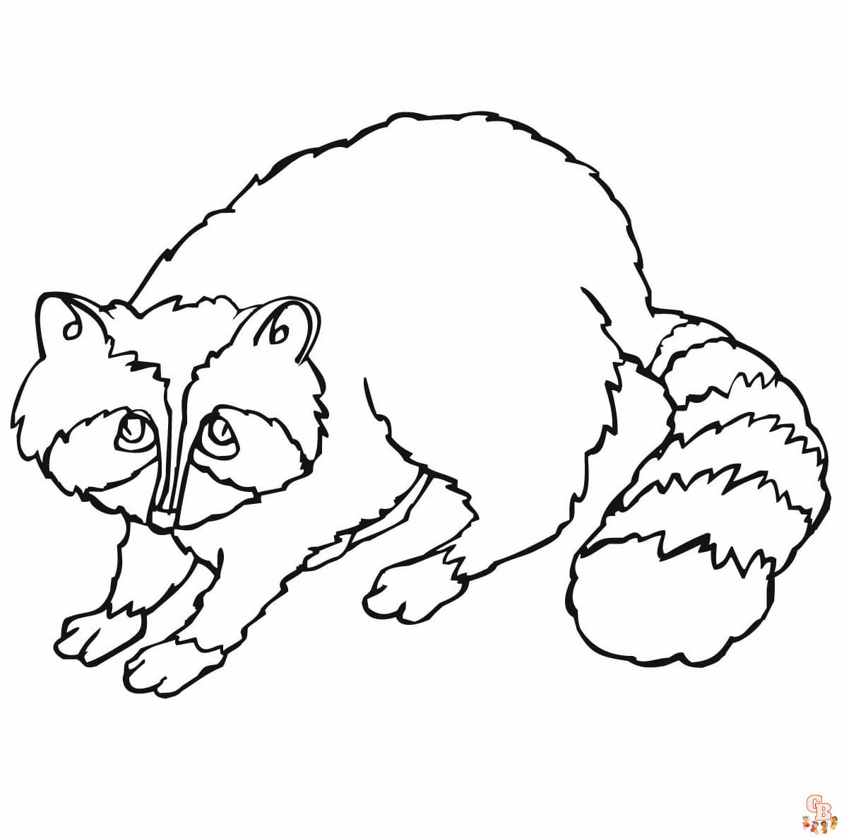 racoon coloring pages free