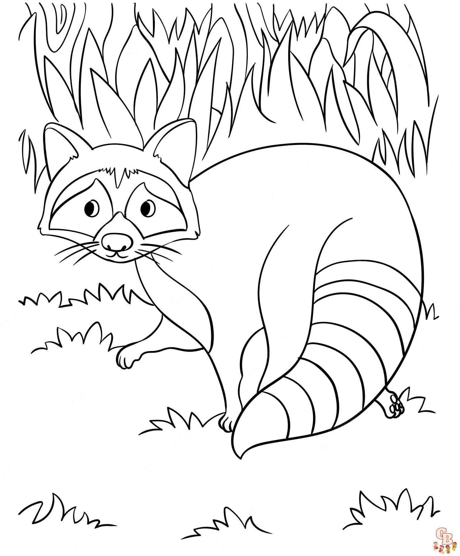 racoon coloring pages printable free