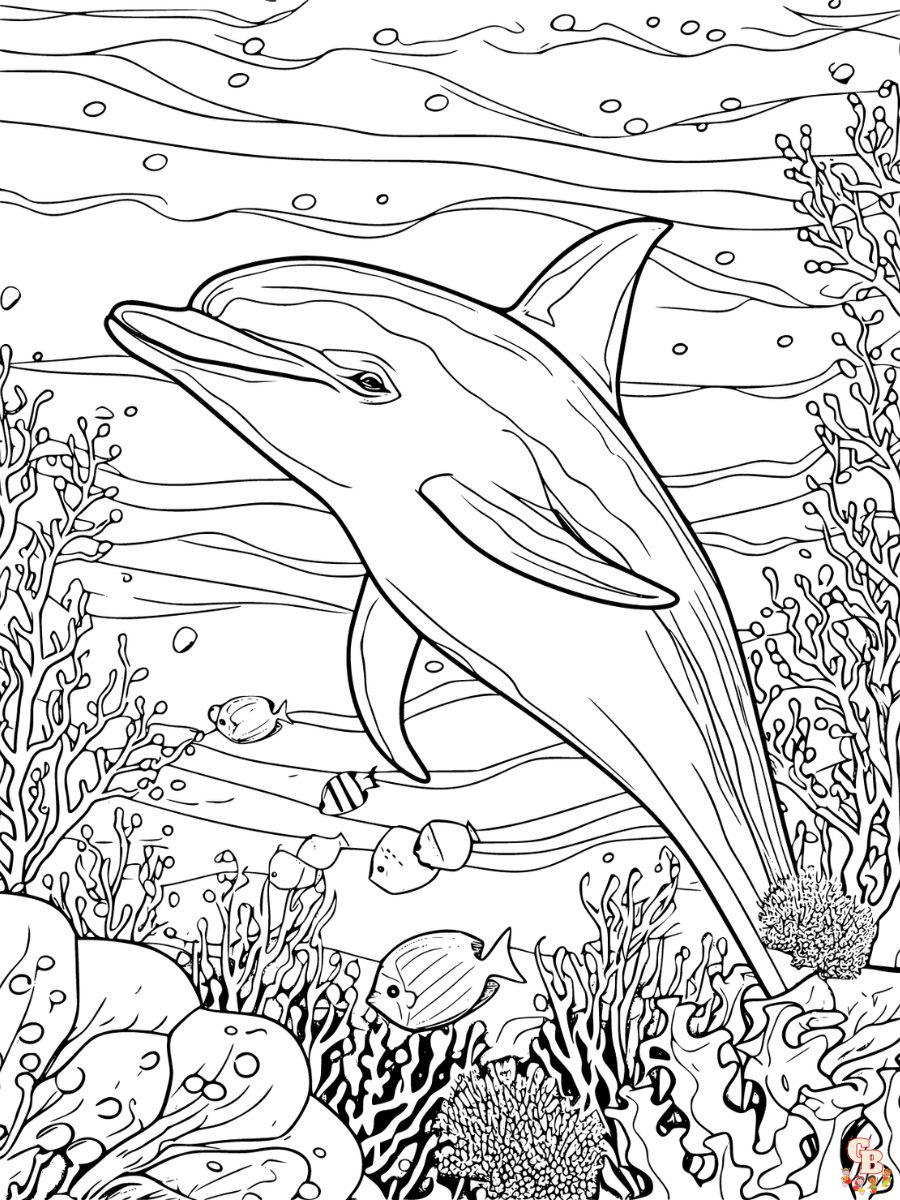 realistic dolphin coloring pages