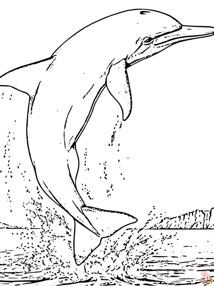 realistic jumping dolphin coloring pages