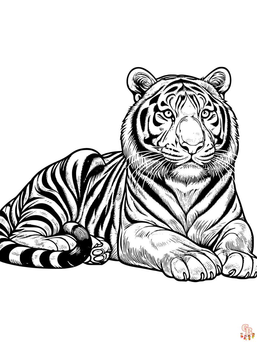 realistic tiger coloring page