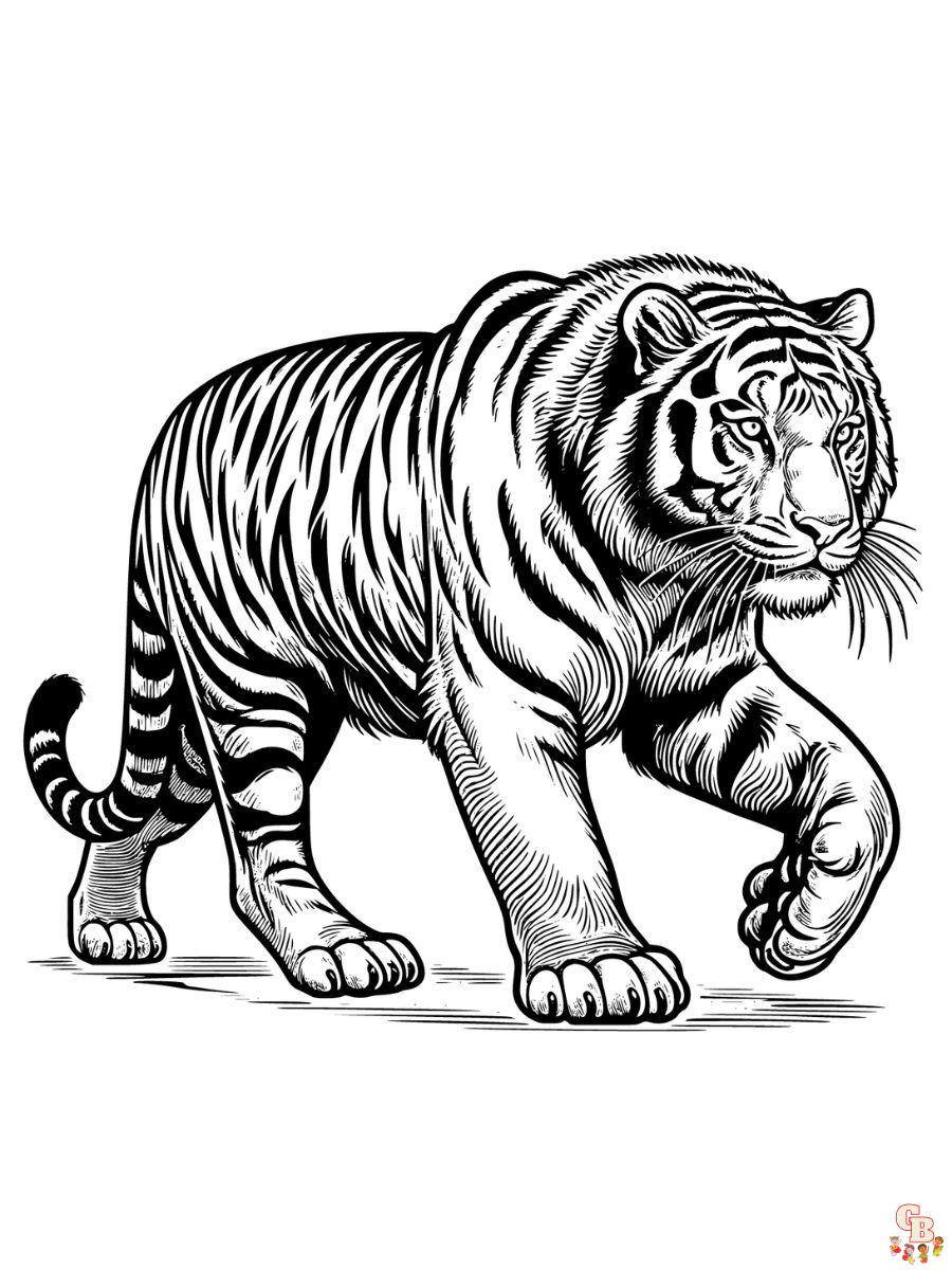 realistic tiger coloring pages for adult